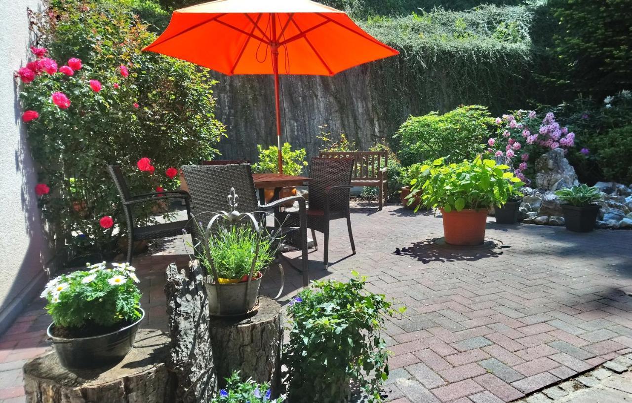 Kaefernberg - Weinhotel Alzenau in Unterfranken Ngoại thất bức ảnh